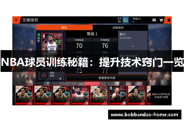 NBA球员训练秘籍：提升技术窍门一览