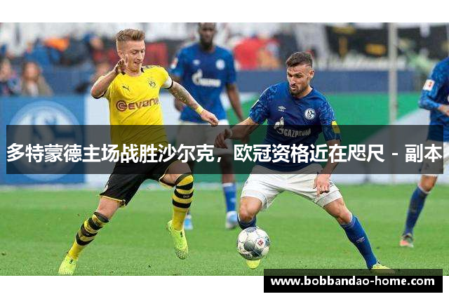 多特蒙德主场战胜沙尔克，欧冠资格近在咫尺 - 副本