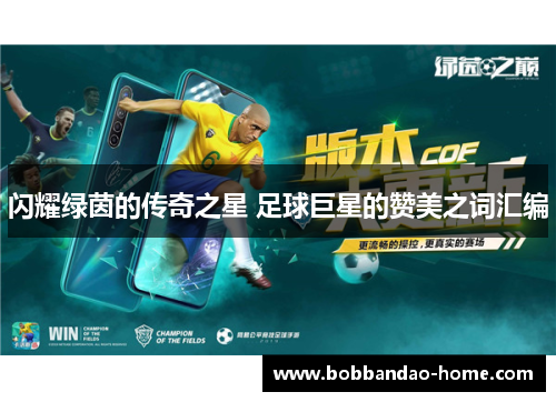 闪耀绿茵的传奇之星 足球巨星的赞美之词汇编